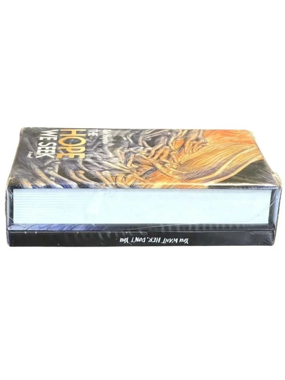 The Hope We Seek Rich Shapero Collector Edition Hardcover Book & Music CD Sealed